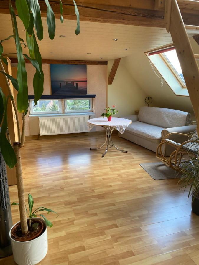 Helles Und Charmantes Loft Mit Herrlichem Blick Dresden Buitenkant foto