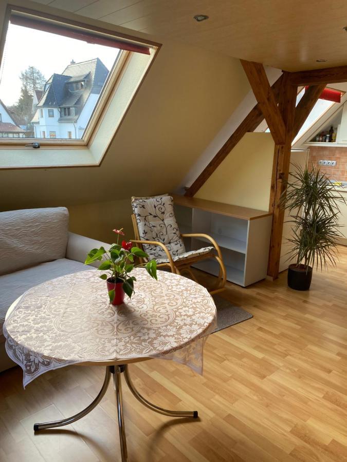 Helles Und Charmantes Loft Mit Herrlichem Blick Dresden Buitenkant foto
