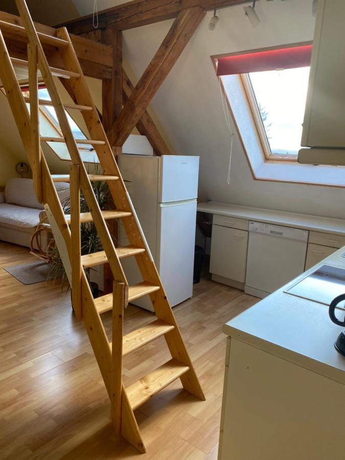 Helles Und Charmantes Loft Mit Herrlichem Blick Dresden Buitenkant foto