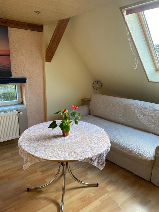 Helles Und Charmantes Loft Mit Herrlichem Blick Dresden Buitenkant foto