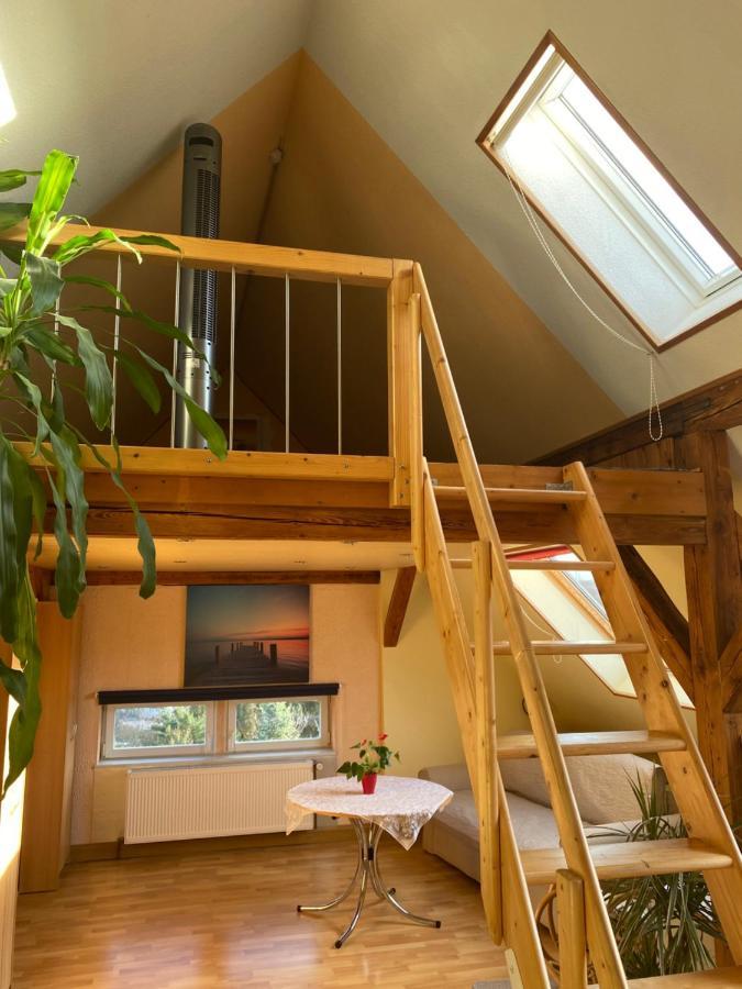 Helles Und Charmantes Loft Mit Herrlichem Blick Dresden Buitenkant foto