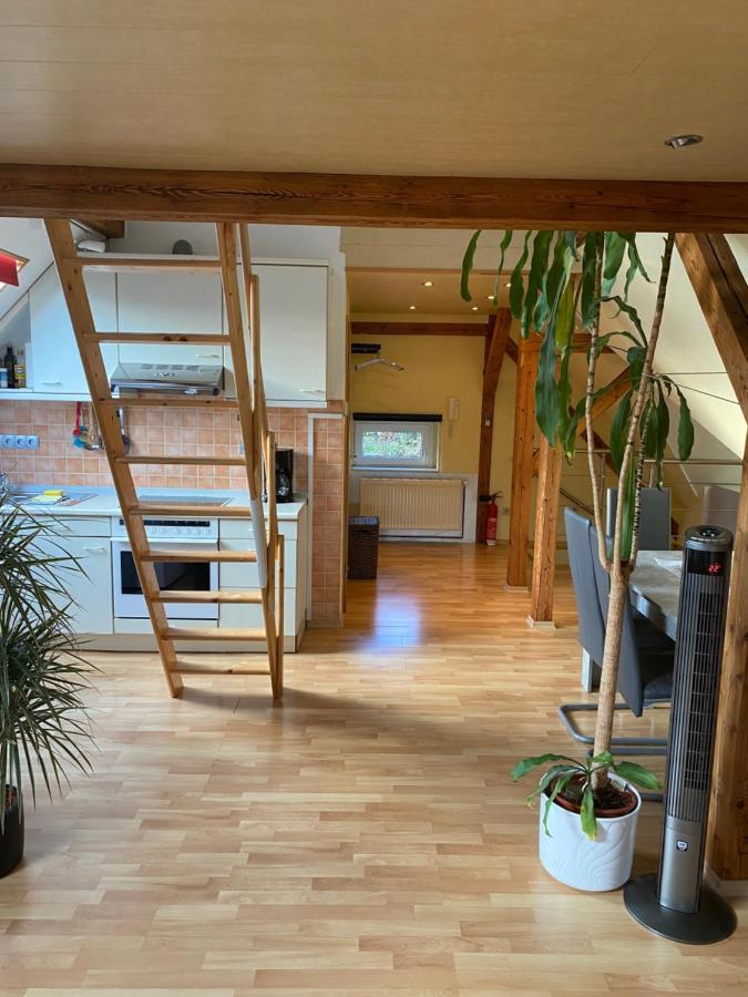 Helles Und Charmantes Loft Mit Herrlichem Blick Dresden Buitenkant foto